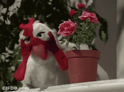 A Stuffed Chicken Holding A Red Heart Next To A Potted Plant GIF