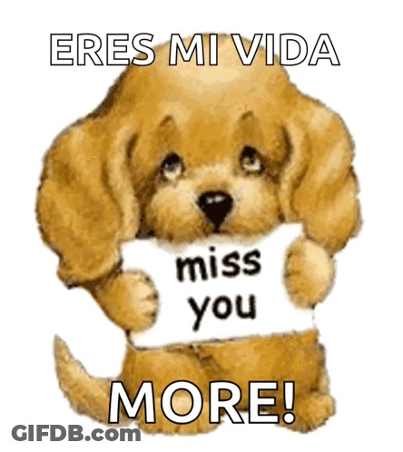 A Stuffed Dog Holding A Sign That Says Miss You More GIF