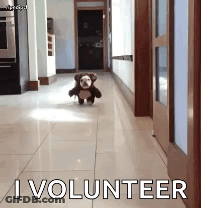 A Stuffed Dog Is Running Down A Hallway With The Words " I Volunteer " Written On The Floor GIF