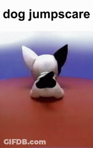 A Stuffed Dog Is Standing On A Red Surface With The Words `` Dog Jumpscare '' Below It . GIF