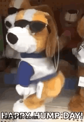 A Stuffed Dog Wearing Sunglasses And A Blue Shirt Is Dancing And Saying Happy Hump Day . GIF