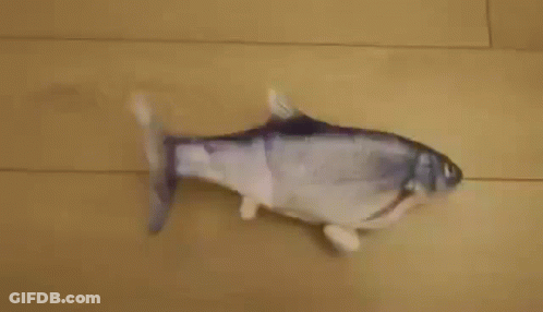 A Stuffed Fish Is Sitting On A Wooden Floor . GIF