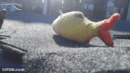 A Stuffed Fish With A Red Tail Is Sitting On A Carpet GIF