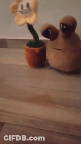 A Stuffed Flower And A Stuffed Snail Are On A Wooden Floor GIF