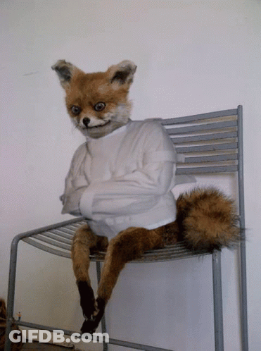 A Stuffed Fox Is Sitting On A Chair Wearing A Strait Jacket GIF