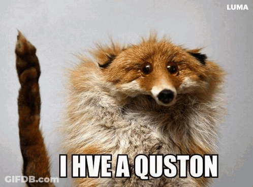 A Stuffed Fox Says I Have A Quston In A Luma Ad GIF