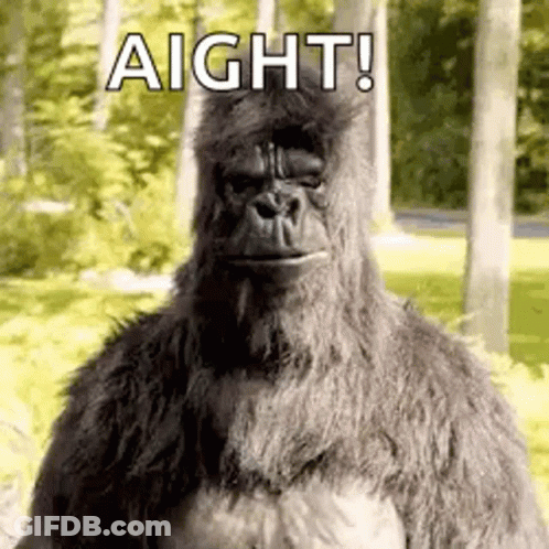 A Stuffed Gorilla Is Standing In The Woods With The Words `` Aight ! '' Written On It . GIF