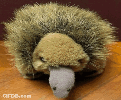 A Stuffed Hedgehog With A Long Tongue Is Sitting On A Wooden Table GIF
