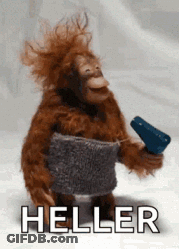 A Stuffed Monkey Is Holding A Hair Dryer And The Word Heller Is Above It . GIF