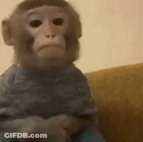 A Stuffed Monkey Is Sitting On A Couch And Making A Funny Face GIF