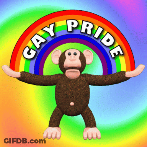 A Stuffed Monkey Is Standing In Front Of A Rainbow And The Words Gay Pride GIF