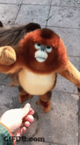 A Stuffed Monkey With Blue Eyes Is Being Held By A Person 'S Hand . GIF