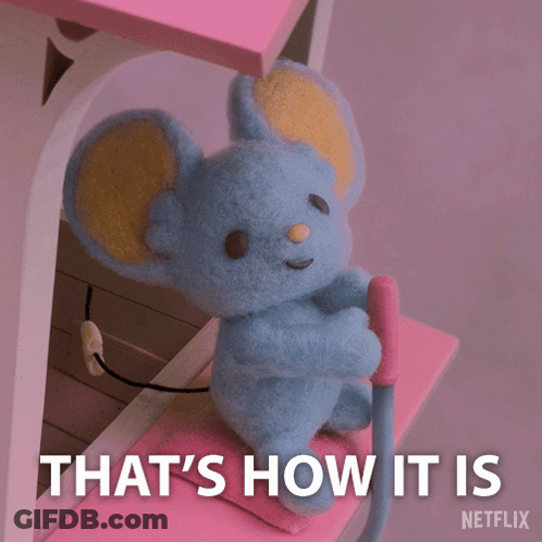 A Stuffed Mouse Is Sitting On A Pink Shelf With The Words That 'S How It Is Netflix Below It GIF