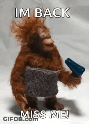 A Stuffed Orangutan Is Holding A Hair Dryer And A Towel Around His Waist . GIF