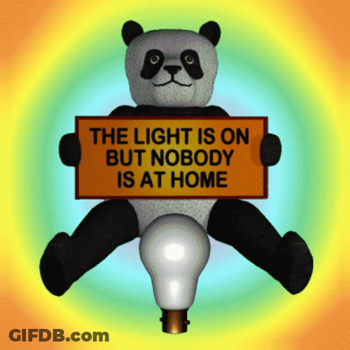 A Stuffed Panda Bear Holding A Sign That Says The Light Is On But Nobody Is At Home GIF