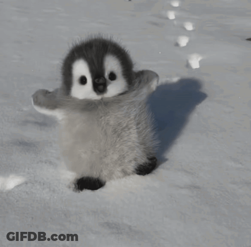 A Stuffed Penguin Is Laying On Its Back In The Snow GIF