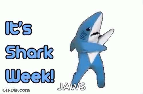 A Stuffed Shark Is Dancing In Front Of A Sign That Says `` It 'S Shark Week ! Jaws '' . GIF