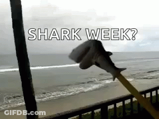 A Stuffed Shark Is Flying In The Air With The Words `` Shark Week '' Written On It . GIF