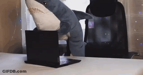 A Stuffed Shark Is Sitting On A Laptop On A Desk . GIF