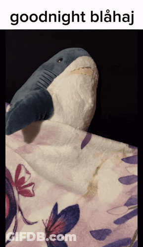 A Stuffed Shark Is Wrapped In A Floral Blanket With The Words Goodnight Blahaj Below It GIF