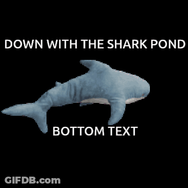 A Stuffed Shark With A Caption That Says Down With The Shark Pond Bottom Text GIF