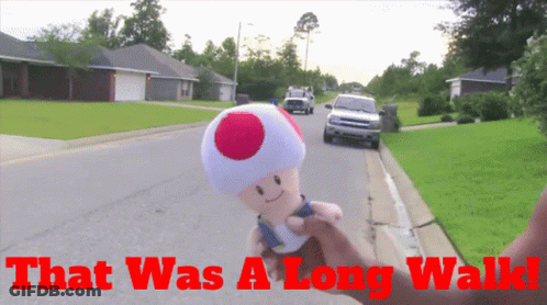 A Stuffed Toad With The Words That Was A Long Walk Behind Him GIF