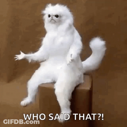 A Stuffed White Cat Is Sitting On A Box And Says Who Said That . GIF