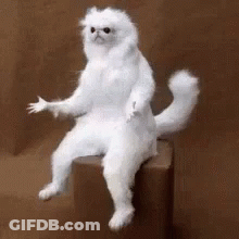 A Stuffed White Cat Is Sitting On A Box With Its Paw Outstretched . GIF