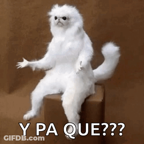 A Stuffed White Cat Is Sitting On A Box With The Words Y Pa Que ? GIF