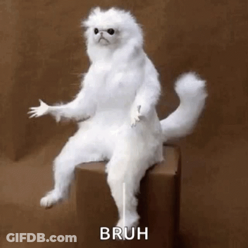 A Stuffed White Cat Is Sitting On Top Of A Box And Making A Funny Face . GIF