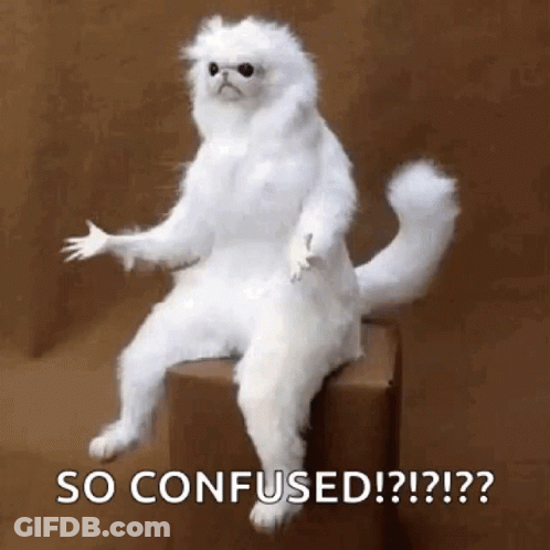 A Stuffed White Cat Is Sitting On Top Of A Box With Its Paws Outstretched . GIF