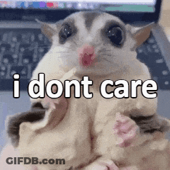 A Sugar Glider With The Words `` I Dont Care '' Written On It . GIF