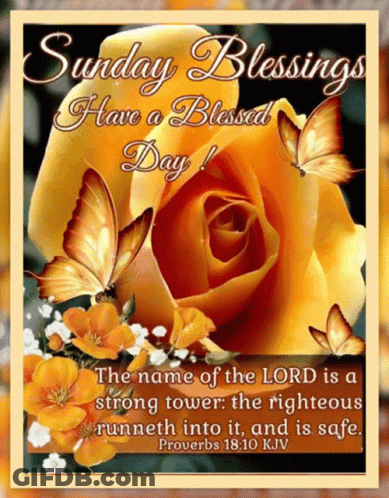 A Sunday Blessings Card With Butterflies And A Rose GIF