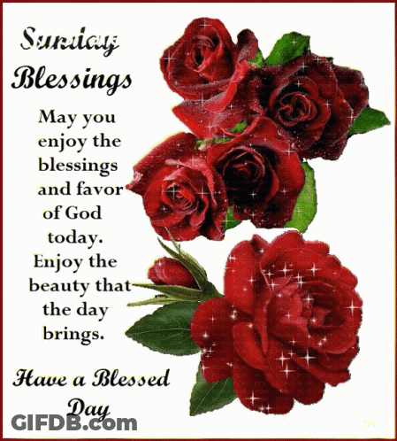 A Sunday Blessings Card With Red Roses On It GIF