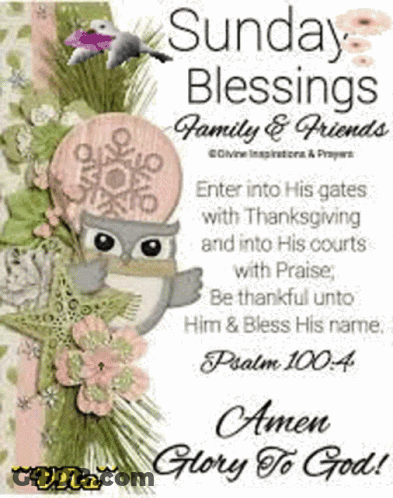 A Sunday Blessings Family And Friends Card With An Owl On It GIF