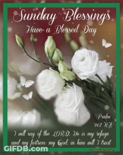 A Sunday Blessings Have A Blessed Day Card With White Roses And Butterflies GIF