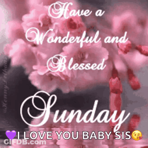 A Sunday Wish With Pink Flowers And The Words Have A Wonderful And Blessed Sunday I Love You Baby Sis GIF