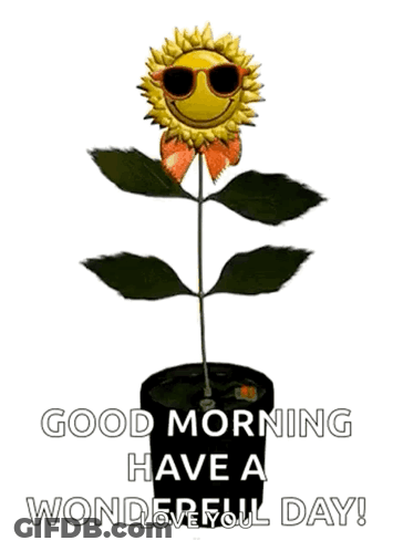 A Sunflower Wearing Sunglasses Is Growing In A Pot And Says `` Good Morning Have A Wonderful Day ! '' GIF