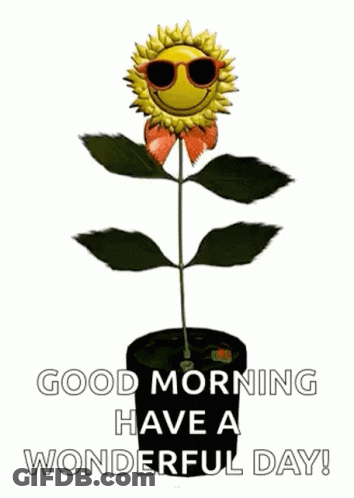 A Sunflower Wearing Sunglasses Is Growing In A Pot And Says `` Good Morning Have A Wonderful Day ! '' GIF