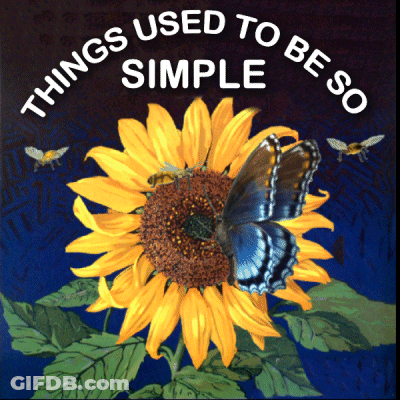 A Sunflower With A Butterfly And The Words Things Used To Be Simple GIF