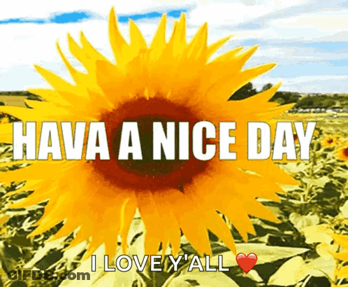 A Sunflower With The Words Have A Nice Day I Love Y'all GIF