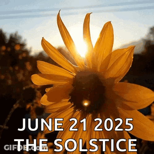 A Sunflower With The Words June 21 2025 The Solstice GIF