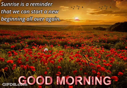A Sunrise Is A Reminder That We Can Start A New Beginning All Over Again Good Morning GIF