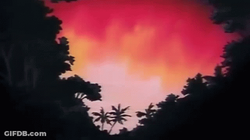 A Sunset In The Jungle With Palm Trees Silhouetted Against A Red Sky . GIF