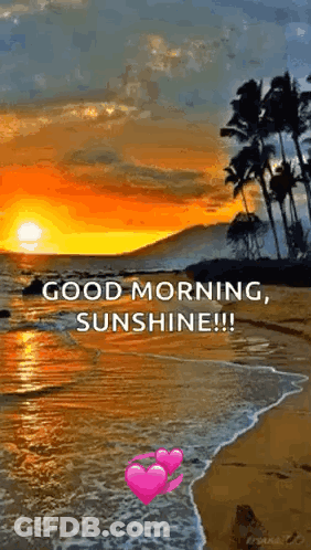 A Sunset On A Beach With The Words `` Good Morning , Sunshine !! '' GIF