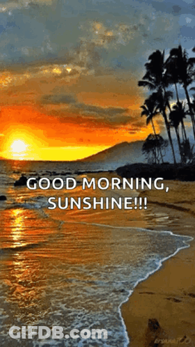 Sunset On Beach With Good Morning Sunshine GIF