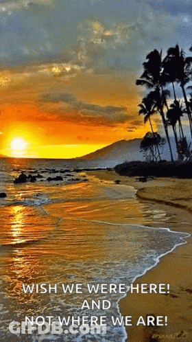 A Sunset On A Beach With The Words Wish We Were Here And Not Where We Are At The Bottom GIF