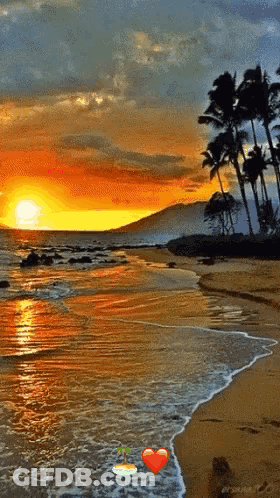 A Sunset Over A Beach With Palm Trees In The Background GIF