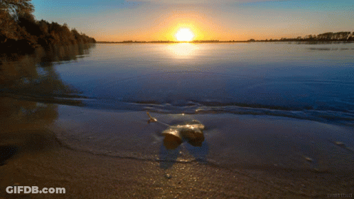 A Sunset Over A Body Of Water With A Few Trees In The Background GIF