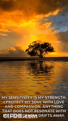 A Sunset Over A Body Of Water With A Tree In The Middle GIF